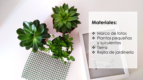 #DIARIODECOSPRING: Un cuadro con suculentas y pequeñas plantas