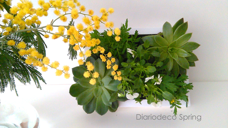 #DIARIODECOSPRING: Un cuadro con suculentas y pequeñas plantas