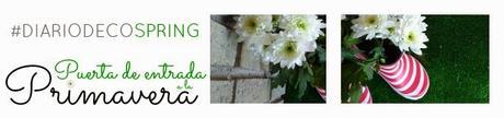 DiariodecoSpring: Diy flores con hueveras