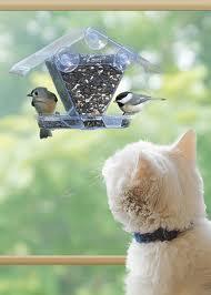 Window Bird Feeder Entertains Indoor Cats