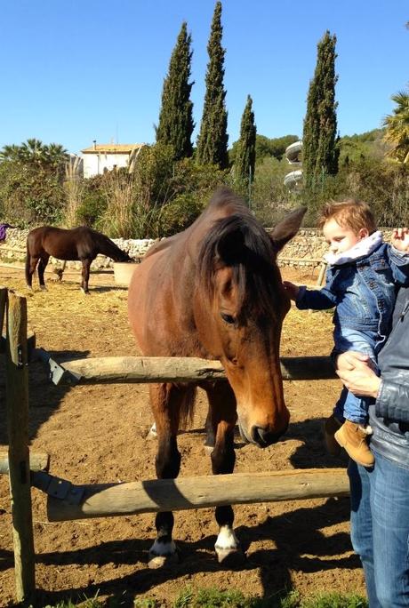 Plan perfecto con peques. Visita a la Fundación la Granja (caballos y mucho más) y comida en Sitges con unas vistas geniales.