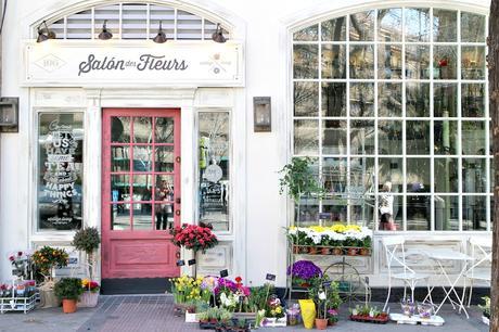 Gracias a Instagram, que me ha dado tanto!