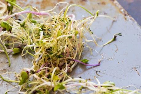 PAD THAI VEGETARIANO CON TOFU CROCANTE