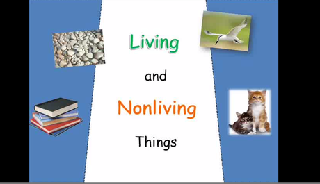 Living and Non-living things songs