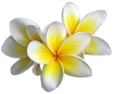 Si tienes planeadas unas vacaciones de Semana Santa al sol, ‘Polysianes’ puede ser tu mejor aliado