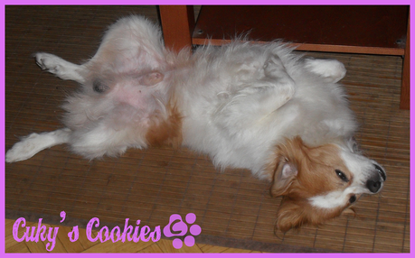 ¡¡Nos vamos de vacaciones!!