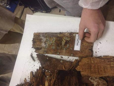 Los investigadores creen haber encontrado los restos de Miguel de Cervantes