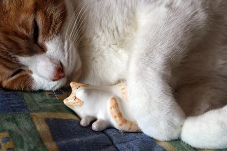 El cumple de Obi con Barruntando