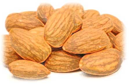 acido 2 Acido pantoténico para la #salud, evitar la caída del cabello y contra la ansiedad