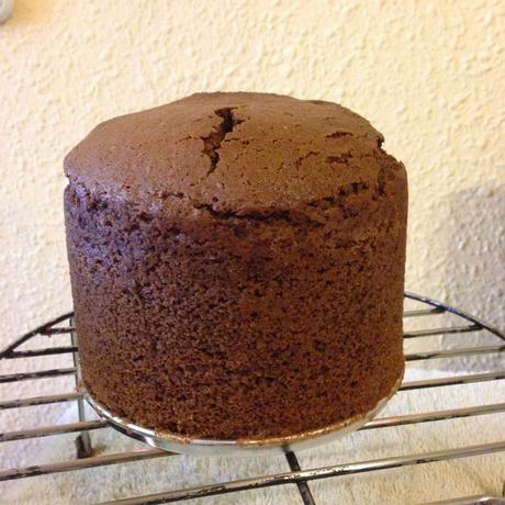 Bizcocho de cacao sin lacteos