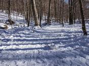 Caminando nieve