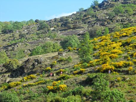 Carrera por Montaña de Garganta de Los Infiernos