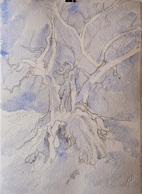 Paso a paso. Acuarela de un olivo