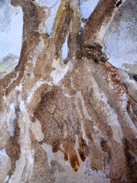 Paso a paso. Acuarela de un olivo