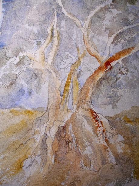 Paso a paso. Acuarela de un olivo