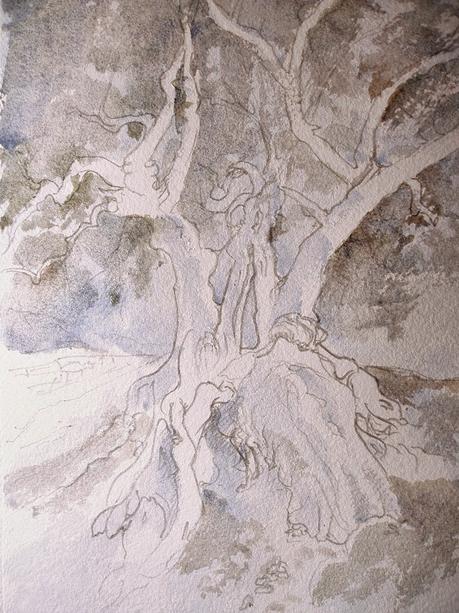 Paso a paso. Acuarela de un olivo