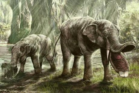 Animales prehistóricos raros y maravillosos