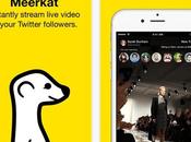 Meerkat Streaming Twitter
