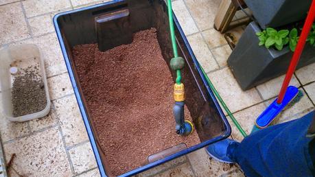 Diorama con Acers Campestres  : 9 montando el bosque