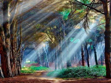 10250339_798005440273616_2593644457566189267_n