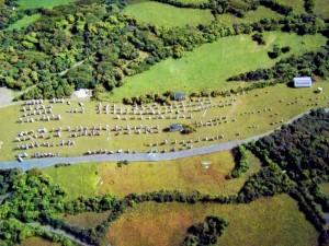 CÓMO RECONOCER DIFERENTES ESTRUCTURAS MEGALÍTICAS