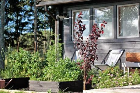 estilo nórdico escandinavo estilo nordico casa rural distribución diáfana decoración con madera casas finlandesas casas de vacaciones nórdicas casas de campo nórdicas Casa de madera blog decoración interiores nórdicos 