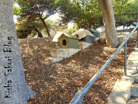 TRAVELS:  Take me Back to MALTA