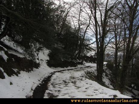 Ruta Carabanzo, Ranero: Bajando por la pista entre árboles