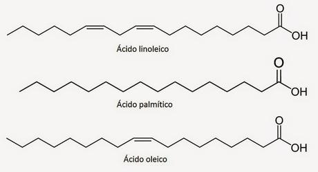 linoleic palmitic oleic acid acids