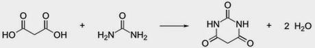 barbituric acid synthesis malonate malonic acid urea condensation