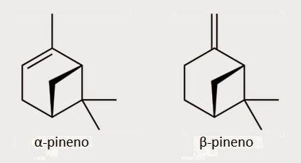 alpha-pinene beta-pinene monoterpenes terpenes turpentine