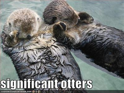 Otters holding hands significant otters meme