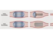 Diseñada nueva forma farmacéutica