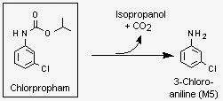 alcaline hydrolysis chlorpropham isopropanol carbon dioxyde m-chloroaniline 3-chloroaniline m-cloroanilina reaction
