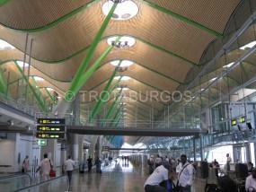 NUEVA YORK, DÍA 1: LAS VERDADES QUE REVELA LA CIENCIA .. 5 COSAS PARA HACER EN NUEVA YORK EN NAVIDAD