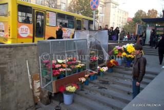 PUESTO DE FLORES EN YEREVÁN