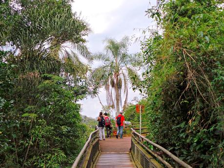 Iguazú y su biodiversidad