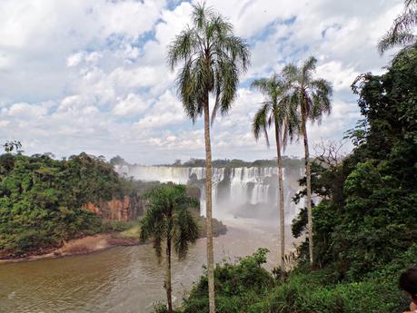 Iguazú y su biodiversidad