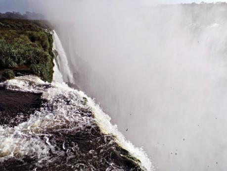 Iguazú y su biodiversidad