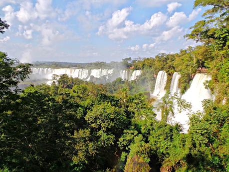 Iguazú y su biodiversidad