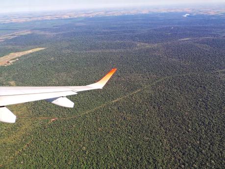 Iguazú y su biodiversidad