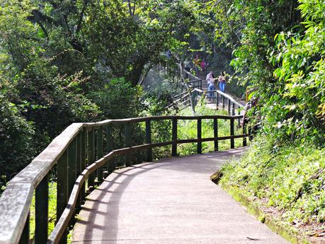 Iguazú y su biodiversidad