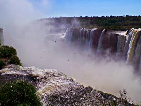 Iguazú y su biodiversidad