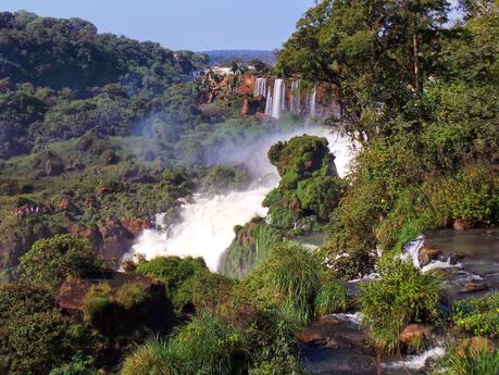 Iguazú y su biodiversidad