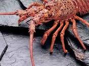 significado soñar langostas marinas