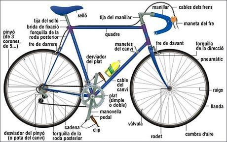 Ruta “Pedals de Clip”