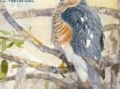 Reseña: ‘Viaje rapaces’, Víctor Hernández Juan Varela