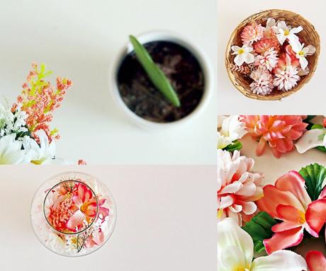 damos la bienvenida a la primavera