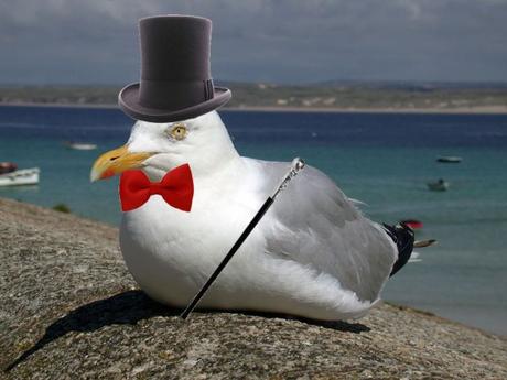 Cómo no ser un “líder gaviota”