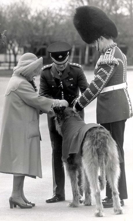 ESTA SEMANA, PROTOCOLO 2X1